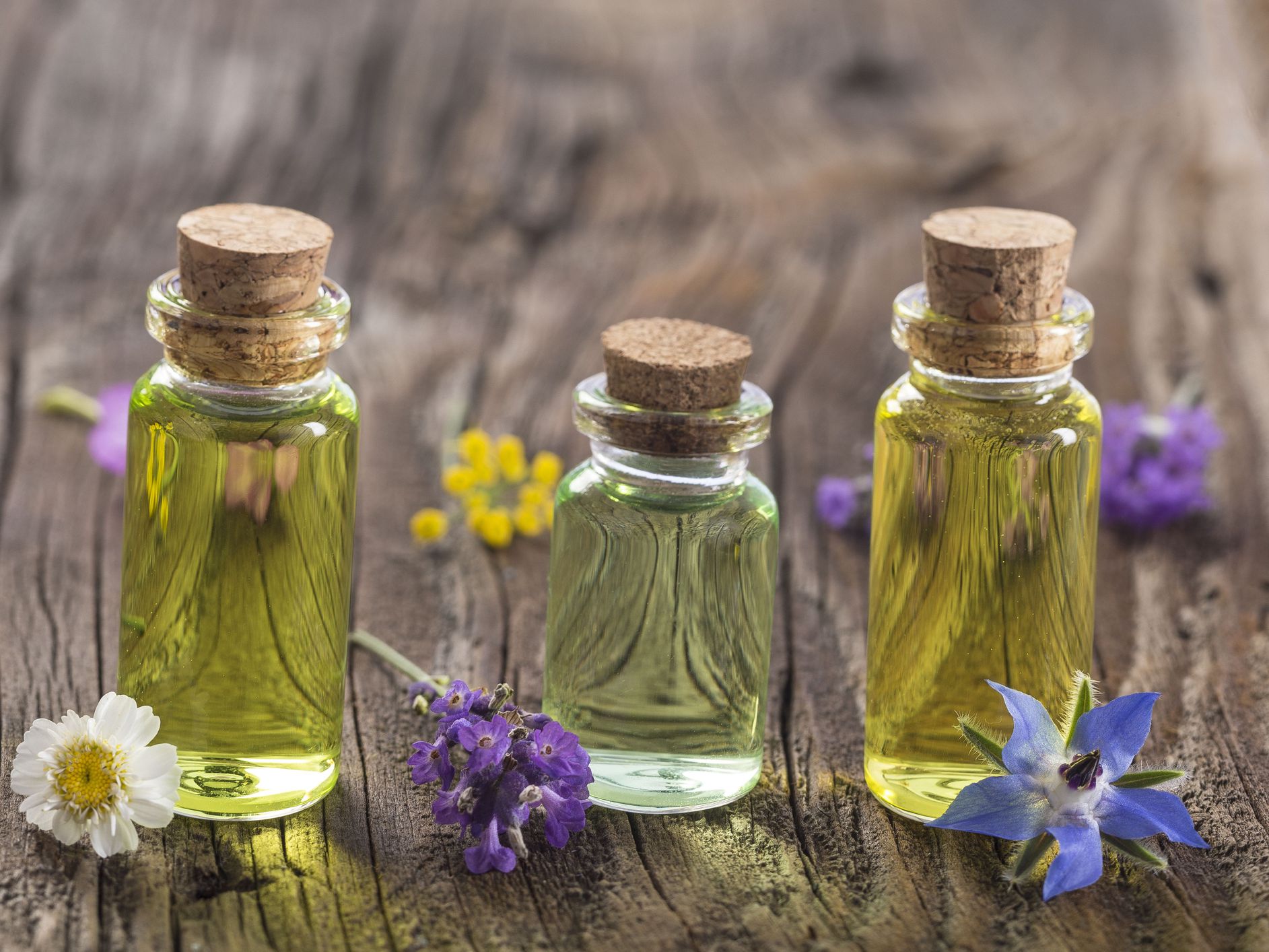 Aromatherapy, Grades 7-12