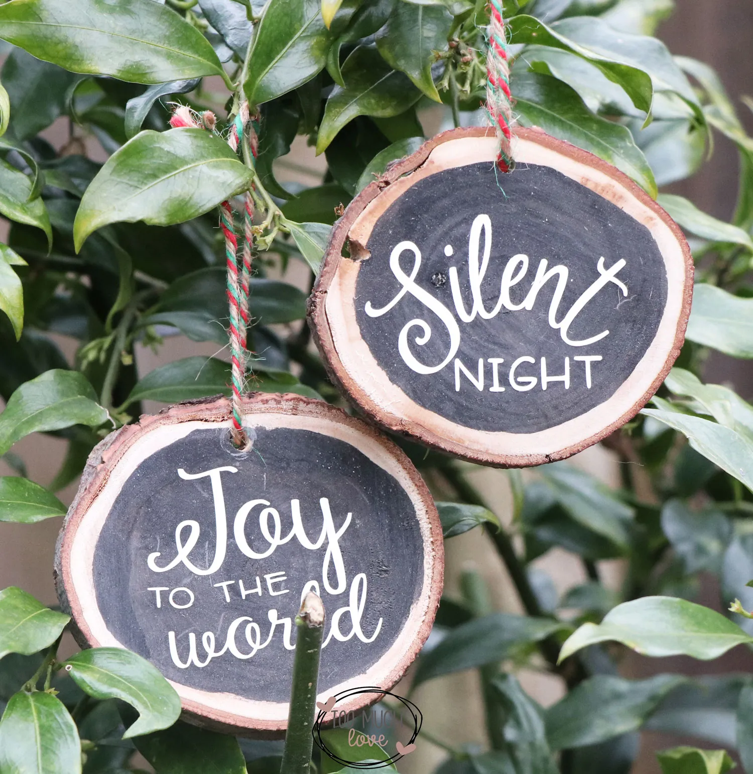 Chalk Board ornaments
