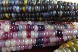 Beaded Glass Gem Corn