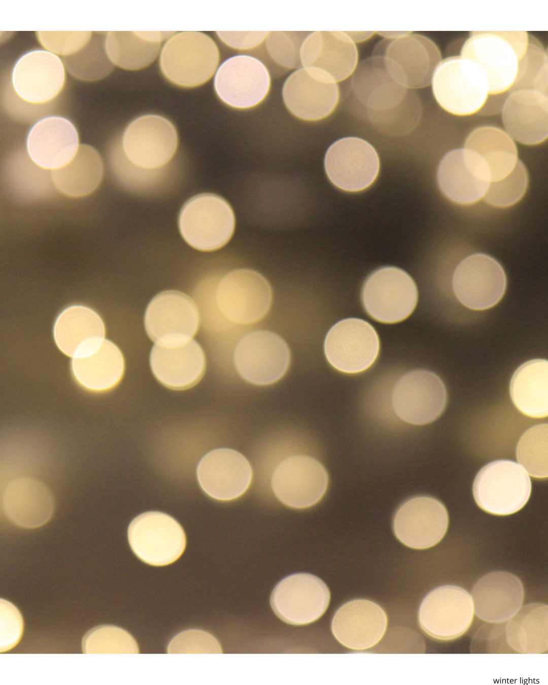 muted photo of lights