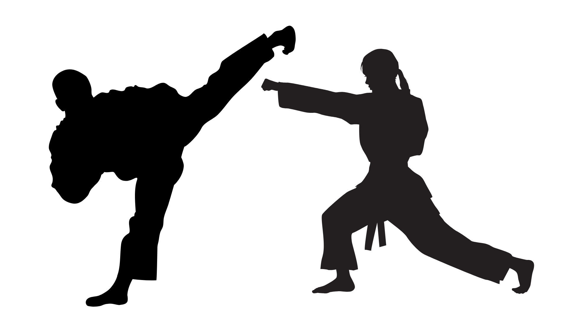 people doing martial arts