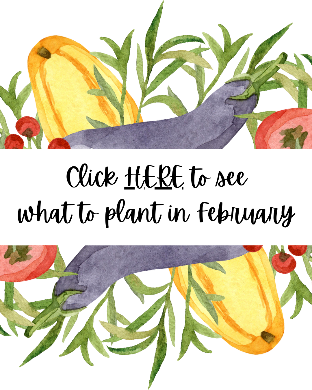 What to plant in February