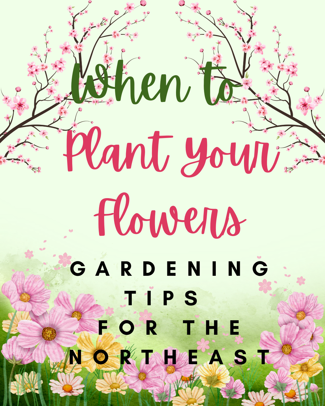 when to plant flowers
