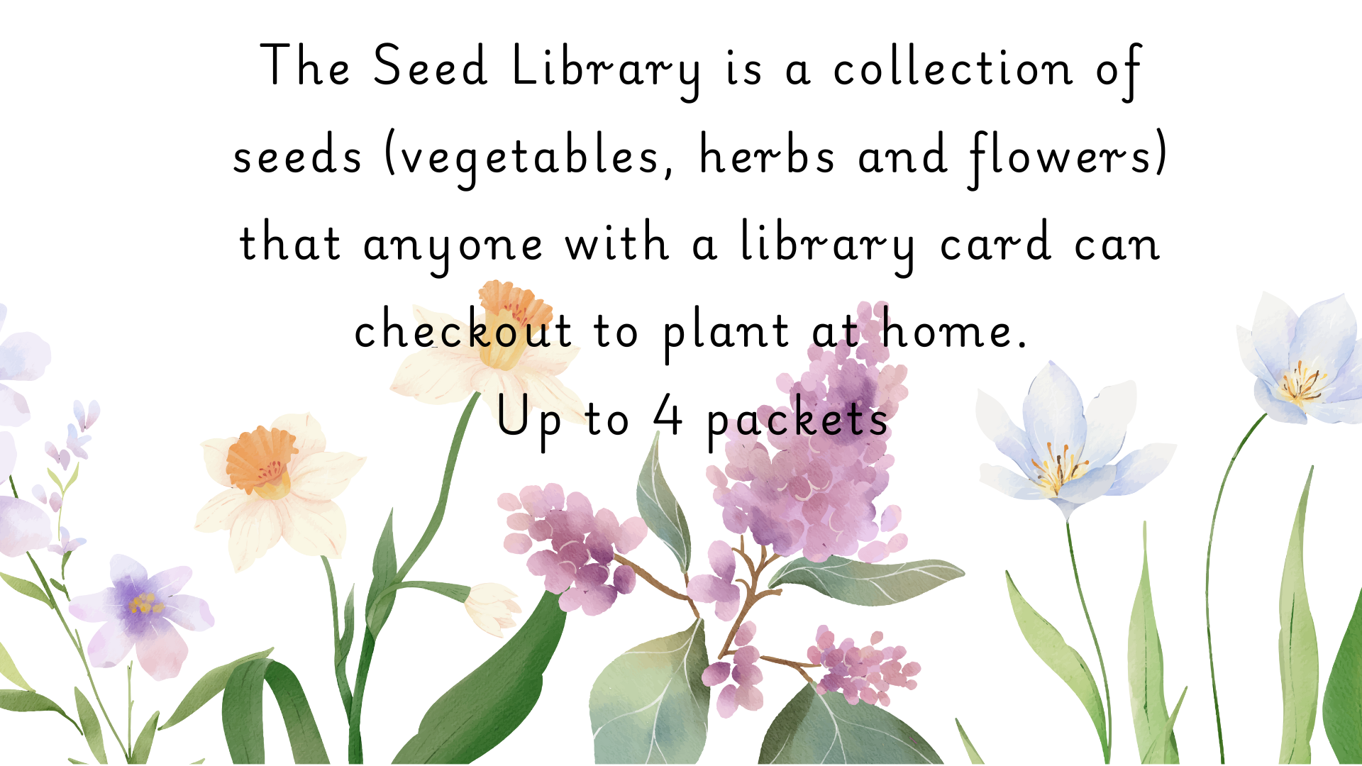 Seed Library