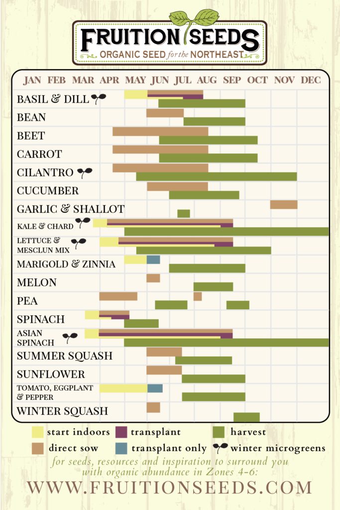 Seed Library Timeline