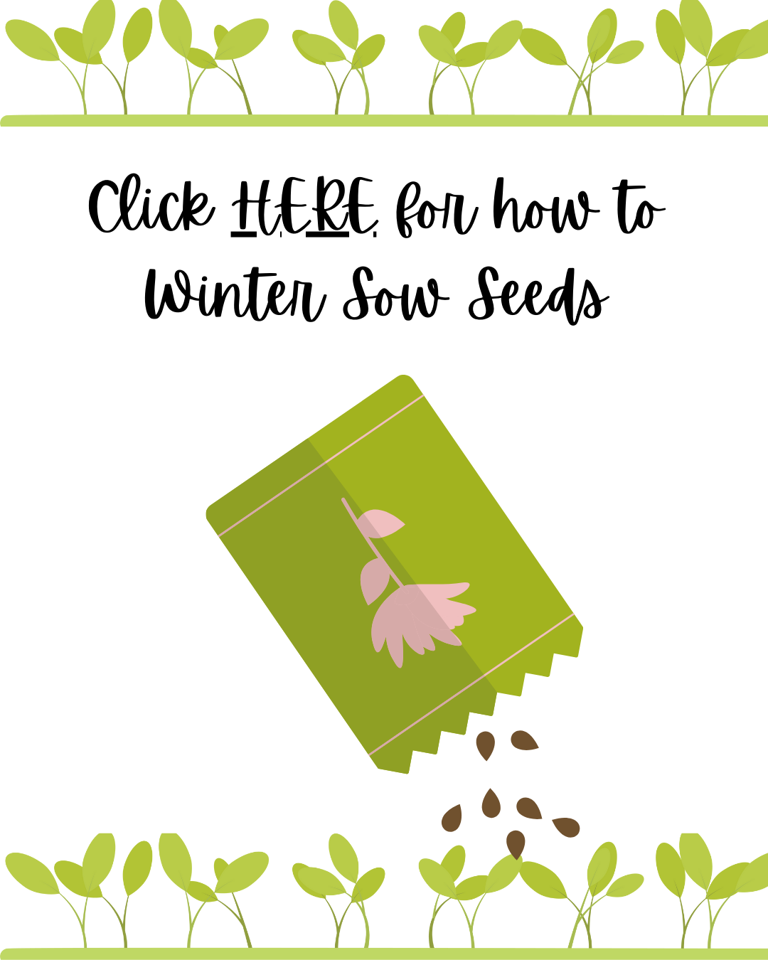 how to winter sow seeds