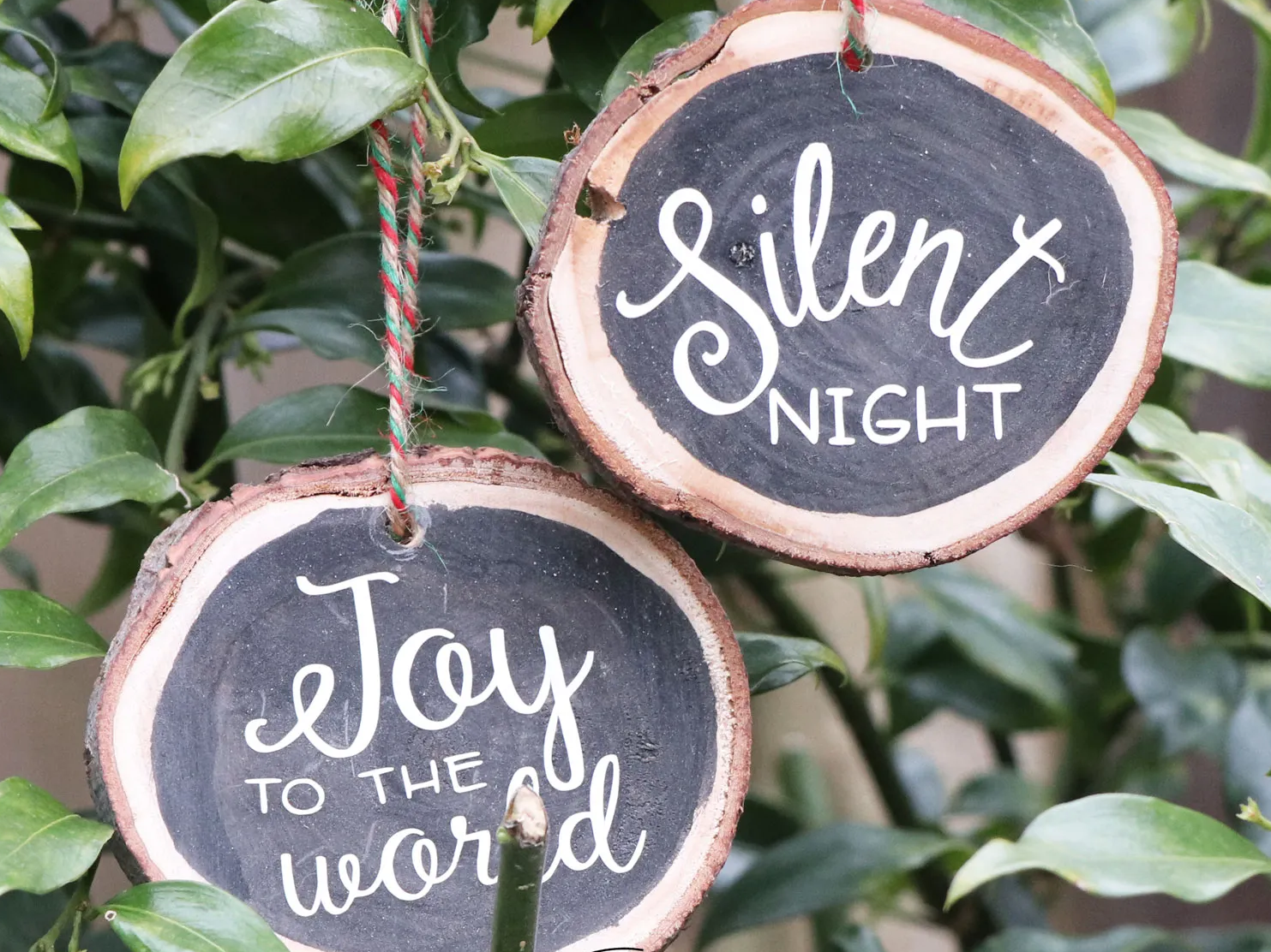 Chalk Board ornaments