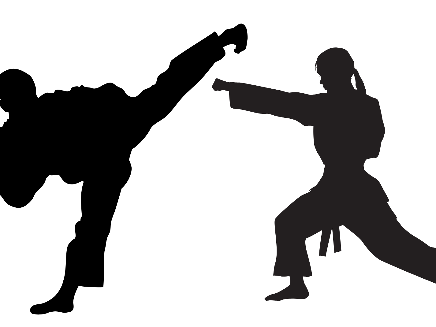 people doing martial arts
